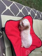 img 1 attached to Medium Red Padded Napper Cot Space Saver Pet Bed - HDP Elevated review by Madansaireddy Aldridge