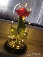 img 1 attached to CGBOOM Beauty And The Beast Immortal Rose Gift Set: Decorative LED Lamp With Forever Flower In Glass Dome And Wooden Base - Perfect For Christmas, Valentine'S Day, And Mother'S Day Gifts For Lovers review by Mark Fleming