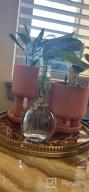 картинка 1 прикреплена к отзыву Set Of 2 - 4.5" Terracotta Clay Plant Pots W/ 3 Legs & Saucer | Indoor Succulent Planters от Timothy Jimenez
