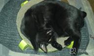 картинка 1 прикреплена к отзыву Reversible Cat Scratcher Cardboard Lounge Bowl Pad - Pawise Kitty Scratching Relaxing Pad от Gallo Carone