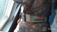 img 1 attached to Enhance Your Pet'S Performance With JiePai Military-Grade Tactical Dog Collar - Adjustable Nylon, D-Ring & Buckle, Ideal For Medium And Large Dogs - Black, Size L review by Ana Nguyen