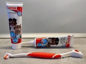 img 5 attached to 🐾 Beaphar Toothbrush and Toothpaste Pack for Pets (Pet-775094)