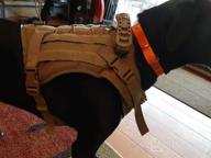 img 1 attached to Tactical Dog Harness Vest With Molle System For Service Dogs, Military Training, Hunting, Hiking - No Pulling Design, Comfy Mesh Padding - Medium/Large Dogs - Velcro Area - Black review by Miranda Warren