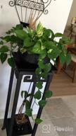 img 1 attached to POTEY 8.8 Inch Large Ceramic Plant Pots With Drainage Holes And Plugs For Indoor & Outdoor House Plants Such As Christmas Cactus, Scindapsus Aureum, And Ivy Vine - 805 Black review by Brandon Battaglia