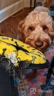 img 1 attached to Red Paw Junior TUFFY Ultimate Durable Dog Toy Ring review by David Gill