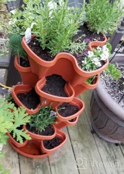img 1 attached to Maximize Your Strawberry Yield With Mr. Stacky'S 5-Tier Planter Pot - 5 Pots To Grow Even More! review by Chris Pacino