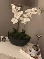 img 1 attached to 4PCS 38 Inch Artificial Butterfly Orchid Branches For Home Decor - White review by Dewey Tory