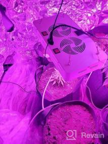 img 5 attached to Светодиодная лампа для выращивания растений мощностью 1200 Вт, регулируемый двойной переключатель полного спектра WAKYME с кнопкой для овощей и цветов и мощной системой рассеивания тепла для комнатных растений, овощей и цветов (120 светодиодов)