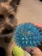 img 1 attached to Non-Toxic Dog Squeaky Toys Value Set: Toss And Fetch TPR Rubber Balls, Spikey Chew Toys, Perfect For Small To Medium Dogs, Puppy Teething Toys And Pet Playtime Fun review by Omar Chavez