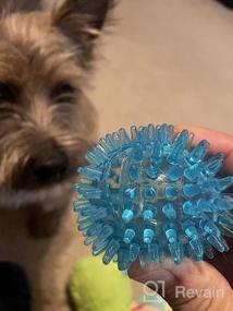 img 5 attached to Non-Toxic Dog Squeaky Toys Value Set: Toss And Fetch TPR Rubber Balls, Spikey Chew Toys, Perfect For Small To Medium Dogs, Puppy Teething Toys And Pet Playtime Fun