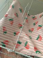 img 1 attached to Small Animal Hanging Hammock Bed For Ferret Hamster Parrot Rat Guinea-Pig Mice Chinchilla Flying Squirrel - Pink Strawberry review by Dusty Wonsley