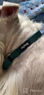 img 1 attached to Escape-Proof Martingale Dog Collar For Large Breeds - Premium Nylon, Sturdy And Comfortable - Ideal For Walking, Training And Daily Use - Large Size In Military Green review by Mike Cooper