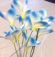 img 1 attached to 🌺 Pack of 10 Lifelike Artificial Plumeria Frangipani Flower Bouquets for Wedding, Home, and Party Decoration - Real Touch, Winterworm (Light Blue) review by Frank Mayes