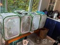 img 1 attached to Explore Nature With RESTCLOUD 24-Inch Insect And Butterfly Habitat Cage Terrarium review by Sean Santhanam