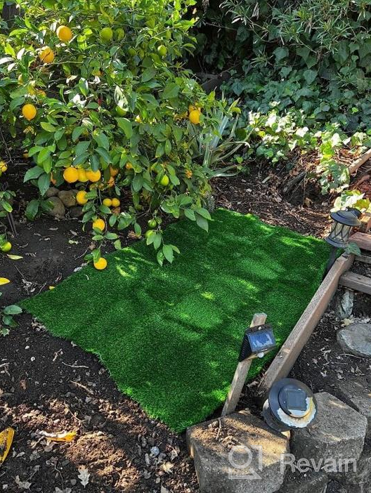 img 1 attached to SHACOS Artificial Grass Pad For Large Dogs 3X5 High Pile 1.2" Thick Reusable Dog Training Pads Fake Turf With Drainage Holes Potty Training Yard Patio Balcony review by Brian Rivera