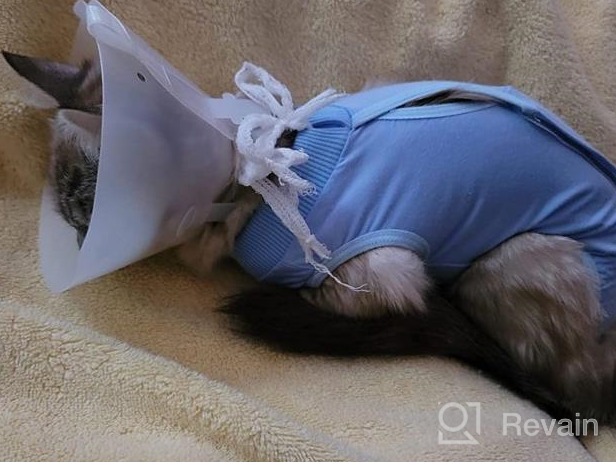 img 1 attached to Cat Surgery Recovery Suit: Surgical Abdominal Wound Protection For Indoor Pets - E-Collar Alternative Post-Surgery Pajama Suit review by Andrew Mack