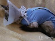 картинка 1 прикреплена к отзыву Cat Surgery Recovery Suit: Surgical Abdominal Wound Protection For Indoor Pets - E-Collar Alternative Post-Surgery Pajama Suit от Andrew Mack