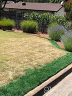 img 1 attached to Revitalize Your Lawn With Endurant Green Grass Paint – Eco-Friendly And Pet-Safe Solution For Dry Or Patchy Lawn review by Tomas Webb