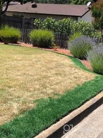 img 5 attached to Revitalize Your Lawn With Endurant Green Grass Paint – Eco-Friendly And Pet-Safe Solution For Dry Or Patchy Lawn