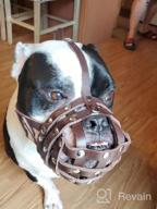 img 1 attached to Secure And Breathable Leather Basket Muzzle For Boxer And Bulldog Breeds - Anti-Bark And Chew Solutions review by Atheendra Wroblewski
