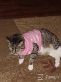 img 8 attached to Очень тянущийся и мягкий полосатый свитер в стиле котика для кошек и маленьких собак - вязаная одежда Evursua для самцов и самок (S, синий) - сохраняющая их теплыми и модными