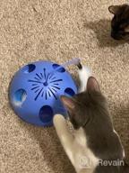 img 1 attached to WINGPET Interactive Cat Toy Set - Kitten Toys With Cat Ball, Catnip Ball, Scratch Mat, And Bell Ball - Simulates Hunting And Playtime For Indoor Cats - Automatic Pet Cat Toys With Batteries Included review by Kevin Barbon