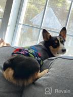 img 1 attached to Washable Male Dog Belly Wraps: Keep Your Pup Clean And Mess-Free With CuteBone Diapers (DM07XS) review by Ricky Lahoti