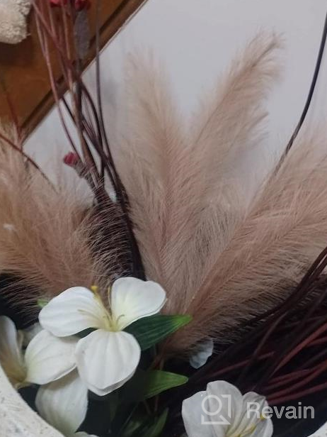 img 1 attached to 3 Pcs 38" Faux Pampas Grass Decor For Floor Vase, Fluffy Boho Home Decor Artificial Fake Plants Living Room Bedroom Kitchen (Mixed) review by Mike Rajput