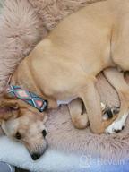 картинка 1 прикреплена к отзыву Tribal-Patterned CollarDirect Martingale Dog Collar: Adjustable And Heavy-Duty Collars For Medium To Large Dogs от Kevin Fuentes