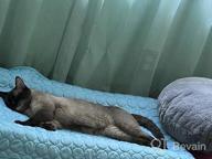 картинка 1 прикреплена к отзыву Охладите свою собаку летом с помощью охлаждающего коврика VeMee - 40 x 28 дюймов, синий. от Gucci Breeze