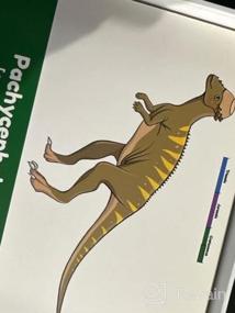 img 5 attached to Детские карточки с динозаврами - интерактивная обучающая игра с забавными фактами и статистикой - 46 уникальных карточек для обучения малышей динозаврам