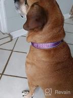 img 1 attached to Taglory Personalized Dog Collars, Embroidered Reflective Dog Collar With Name And Phone Number, Adjustable Nylon Dog Collar For Medium Dogs, Purple review by Ray Reeltalk