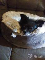 img 1 attached to Grey Anti-Anxiety Donut Dog Bed For Small Medium Dogs - Calming Pet Cuddler Bed With Soft Plush Faux Fur, Machine Washable And Anti-Slip Bottom By JOEJOY review by Bennie Boss