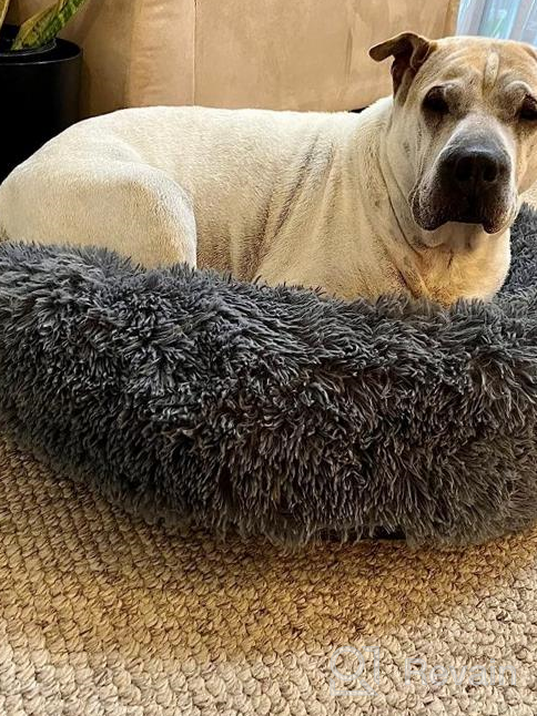 img 1 attached to Ultimate Comfort With PUPPBUDD'S Self-Warming Faux Fur Dog Bed - Perfect For Small Dogs Up To 35Lbs review by David Stewart