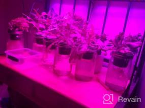 img 7 attached to 45W LED Grow Light, UNIFUN New Light Лампы для растений Лампа для выращивания растений для гидропонных водных комнатных растений