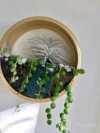 img 1 attached to Ecosides Round Indoor Wall Succulent Hanging Planter, Metal Decorative Freestanding Mount Holder With Glass For Air Plants, Faux Flower,Set Of 3 (White) review by Dave Giri