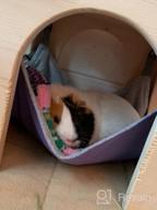 img 1 attached to 🐹 Cozy Hangout: Homeya Small Animal Guinea-Pig Hanging Hammocks Bed - Perfect for Ferrets, Cats, Rats, Chinchillas, Hamsters, and More! review by Roberto Strumer