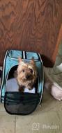картинка 1 прикреплена к отзыву Ventilated Pet Carrier Backpack With Comfort Straps And Thick Support Bottom - Two-Way Entry Design For Pet Travel - Black от Brooke Watts