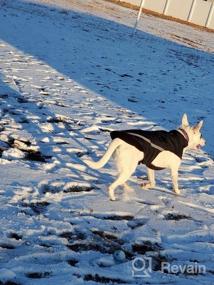 img 8 attached to Зимнее приключение обязательно: светоотражающая и удобная куртка для собак с мягкой флисовой подкладкой и дополнительным теплом для пеших прогулок, кемпинга и занятий спортом на открытом воздухе
