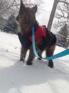 картинка 1 прикреплена к отзыву Сохраняйте тепло и стильность с зимним пальто Lesypet Pink Dog для маленьких собак от Asia Newell