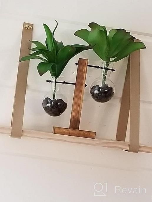 img 1 attached to Desktop Glass Planter With Wooden Stand For Hydroponics, Propagation, And Office Decor - Perfect For Water Plants And Home Garden - Retro Bulb Vase Design review by Tyler Vaughn