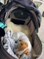 img 1 attached to Hauck Tog Fit Pet Roadster - Perfect For Traveling With Your Furry Friend! review by Kyle Deel