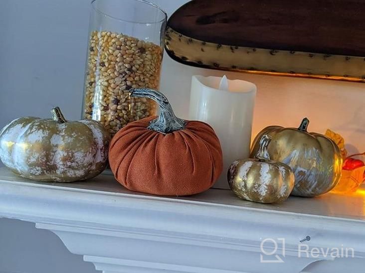 img 1 attached to 14-Pack Foam Black Pumpkins For Effortlessly Elevating Your Fall And Halloween Decor review by Sherry Meurer