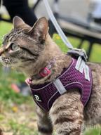 img 1 attached to Pink XS Dog And Cat Harness With Leash - Escape Proof, Reflective, And Comfortable Fit For Small To Medium Pets review by Pushkraj Barton