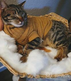 img 4 attached to Сделайте вашего кошачьего друга уютным с нашим свитером с горлом для кошек - идеально подходит для котят, чихуахуа, медвежат, пуделей, мопсов и маленьких собак!