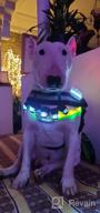 img 1 attached to USB Rechargeable LED Dog Collar For Night Safety - Joytale Light Up Collar In Blue - Glows In The Dark, Ideal For Small, Medium, And Large Dogs review by Sean Reddy