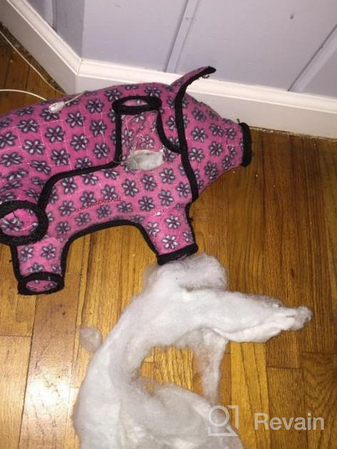 img 1 attached to TUFFY - World'S Tuffest Soft Dog Toy - Barnyard Pig- Multiple Layers. Made Durable, Strong & Tough. Interactive Play (Tug, Toss & Fetch). Machine Washable & Floats. (Junior) review by Clinton Youmans