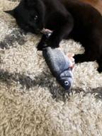 img 1 attached to Interactive Cat Toy: Beewarm Flopping Fish - Perfect For Biting, Chewing And Kicking (Catfish) review by Nick Reddy