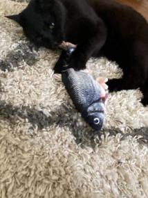 img 7 attached to Interactive Cat Toy: Beewarm Flopping Fish - Perfect For Biting, Chewing And Kicking (Catfish)