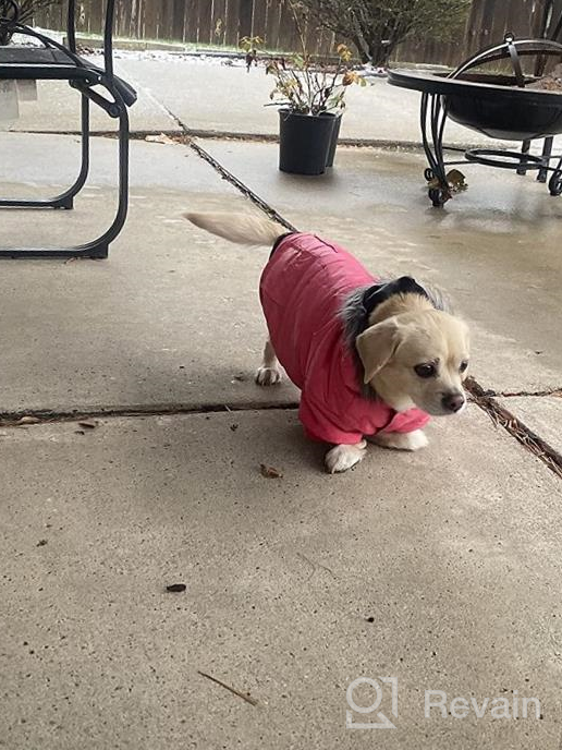 img 1 attached to Stay Warm & Stylish With Lesypet Pink Dog Winter Coat For Small Dogs review by David Gonzalez